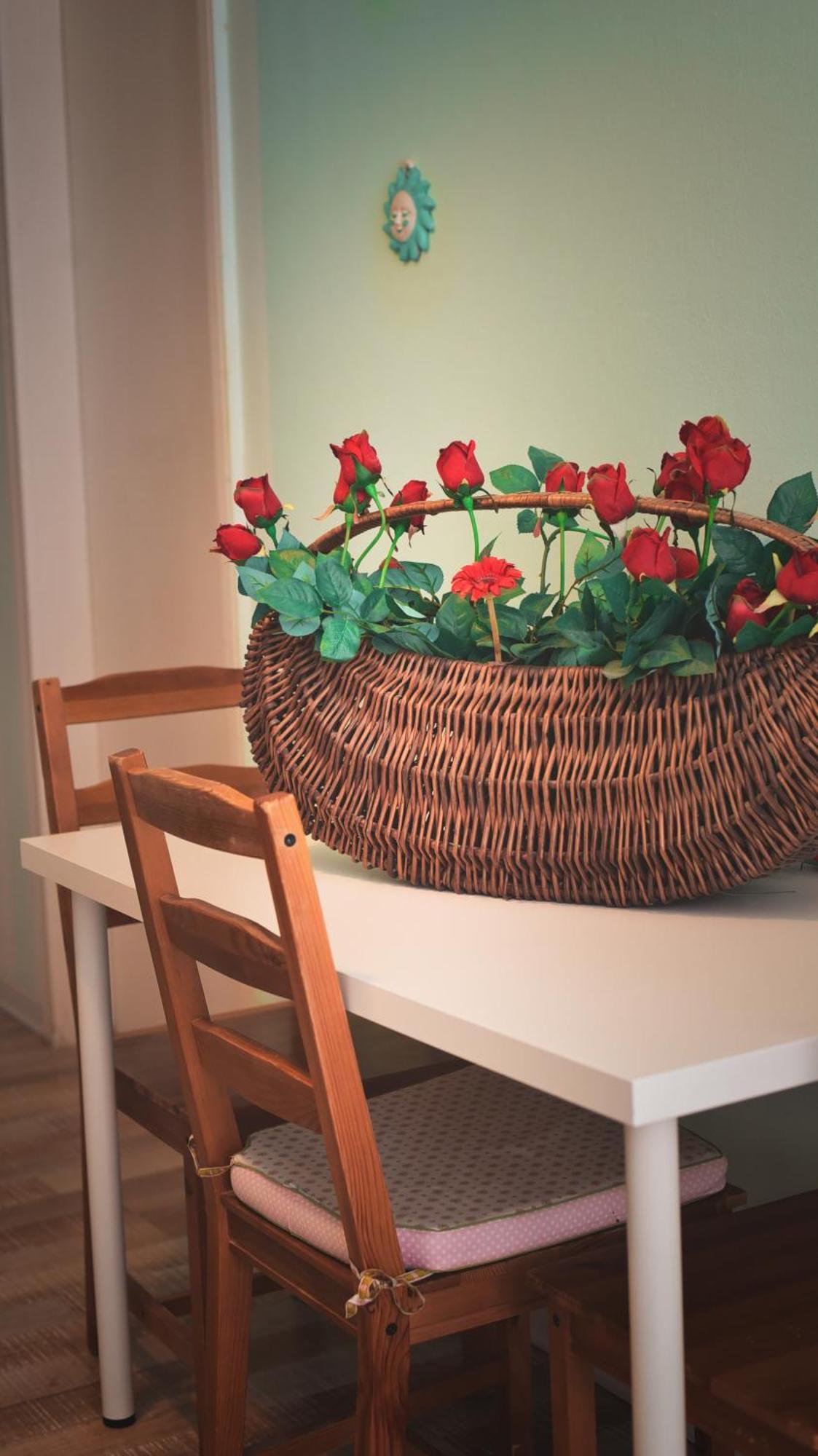 Barcolana Lodge - Hostel Trieste Ngoại thất bức ảnh